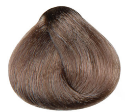 Barva Maxima Plex 8.12 