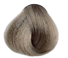 Barva Maxima Plex 8.1 