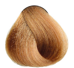 Barva Maxima Plex 8.33 