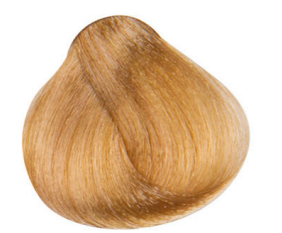 Barva Maxima Plex 9.3 