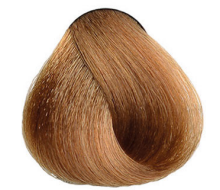 Barva Maxima Plex 8.31 