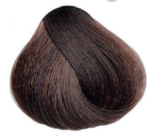 Maxima barva Plex 6.99