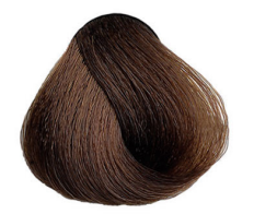 Maxima barva Plex 5.3