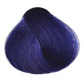 Barva Maxima Plex modra