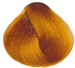 Barva Maxima Plex zlata 