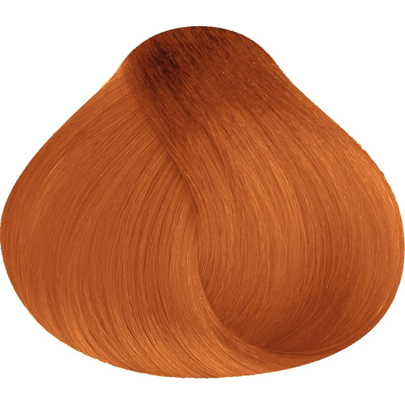 Barva Jungle Fever 7.444